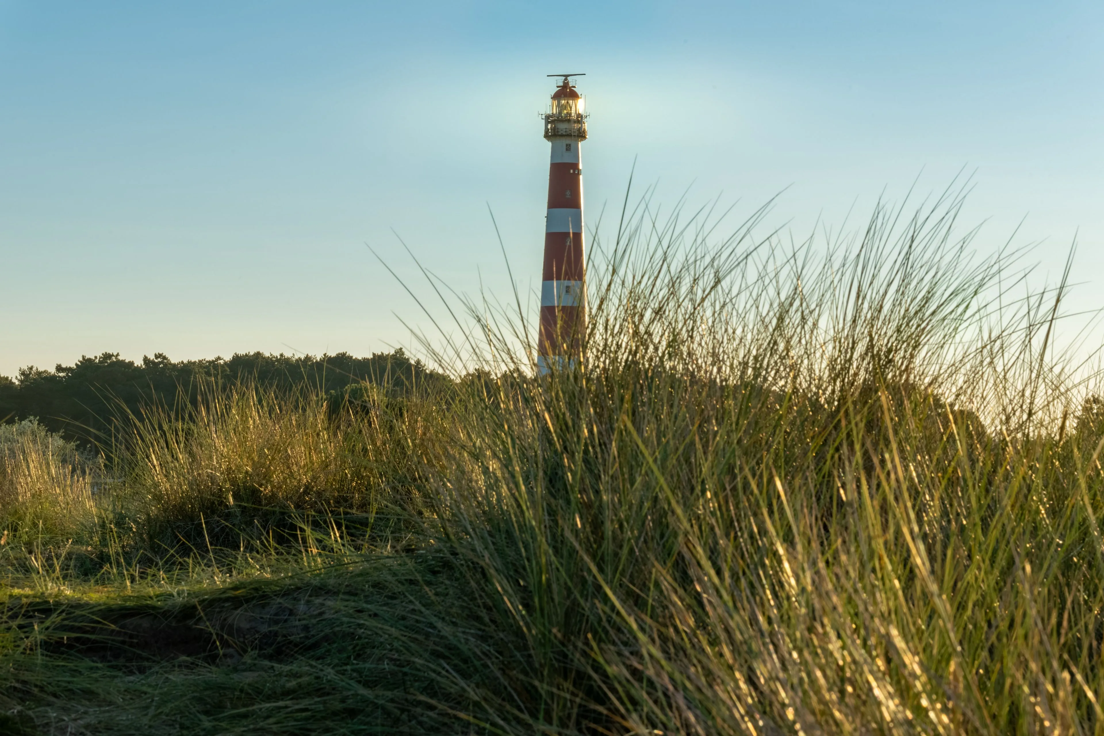 ameland