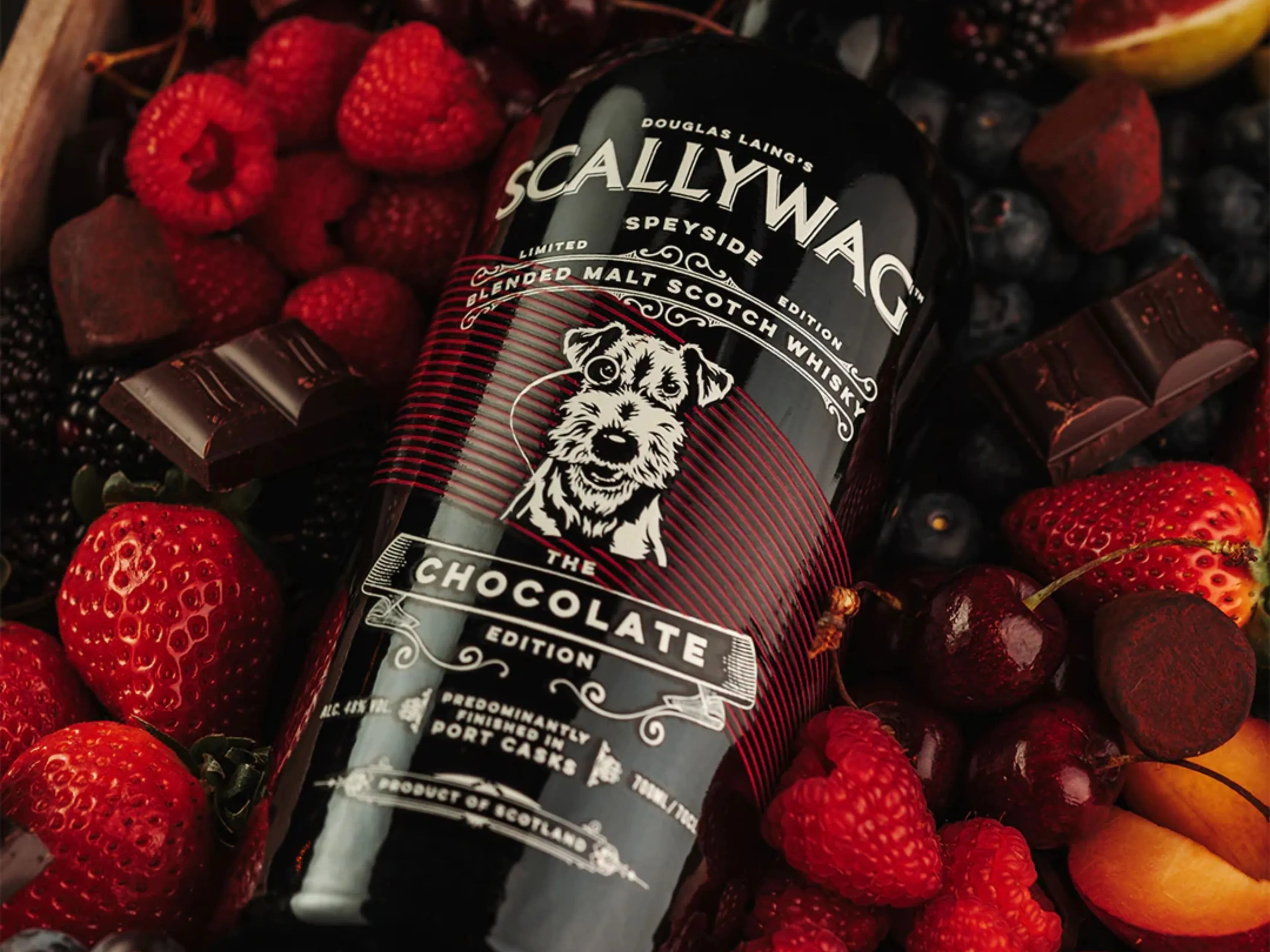 scallywag chocolate edition 2024