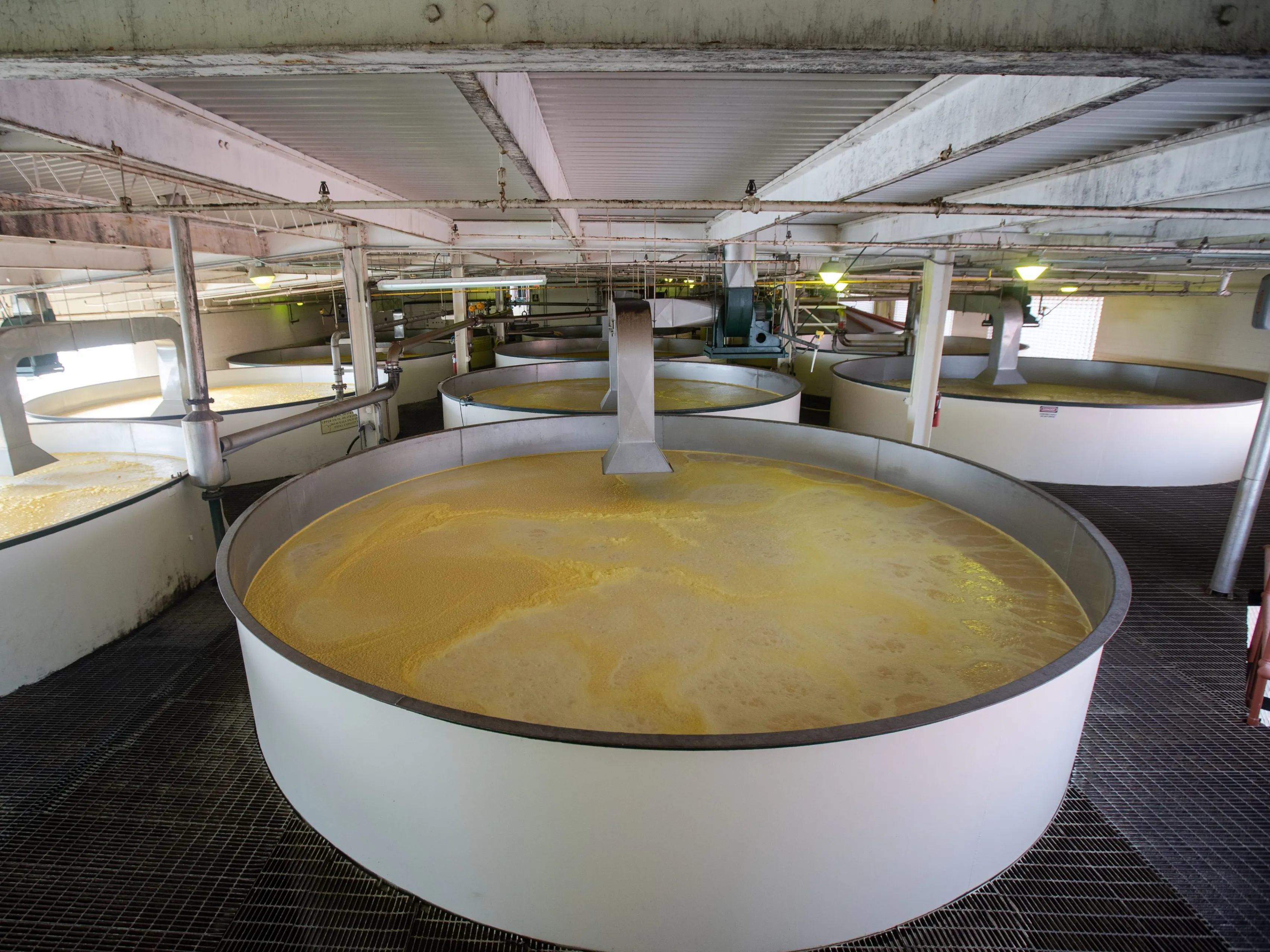 buffalo trace distillery fermentation