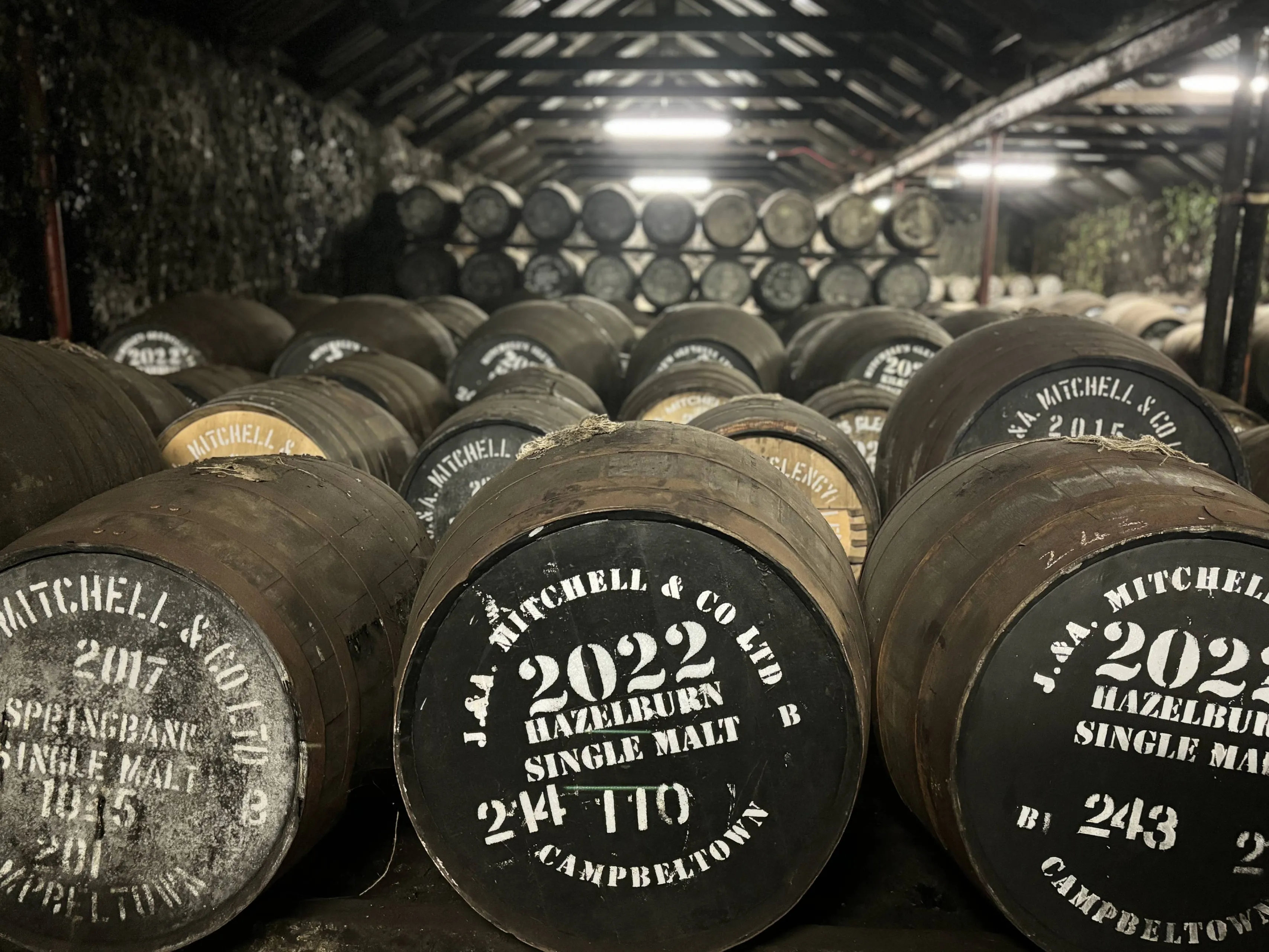 hazelburn springbank whisky warehouse