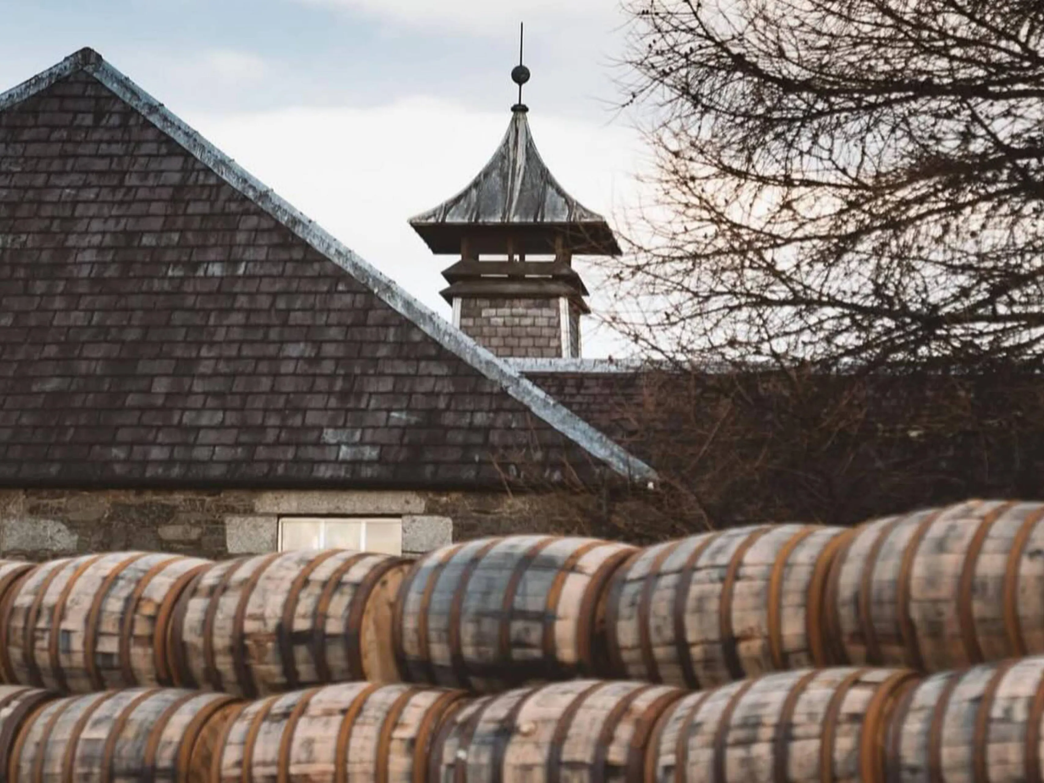 whisky vaten en pagodedak