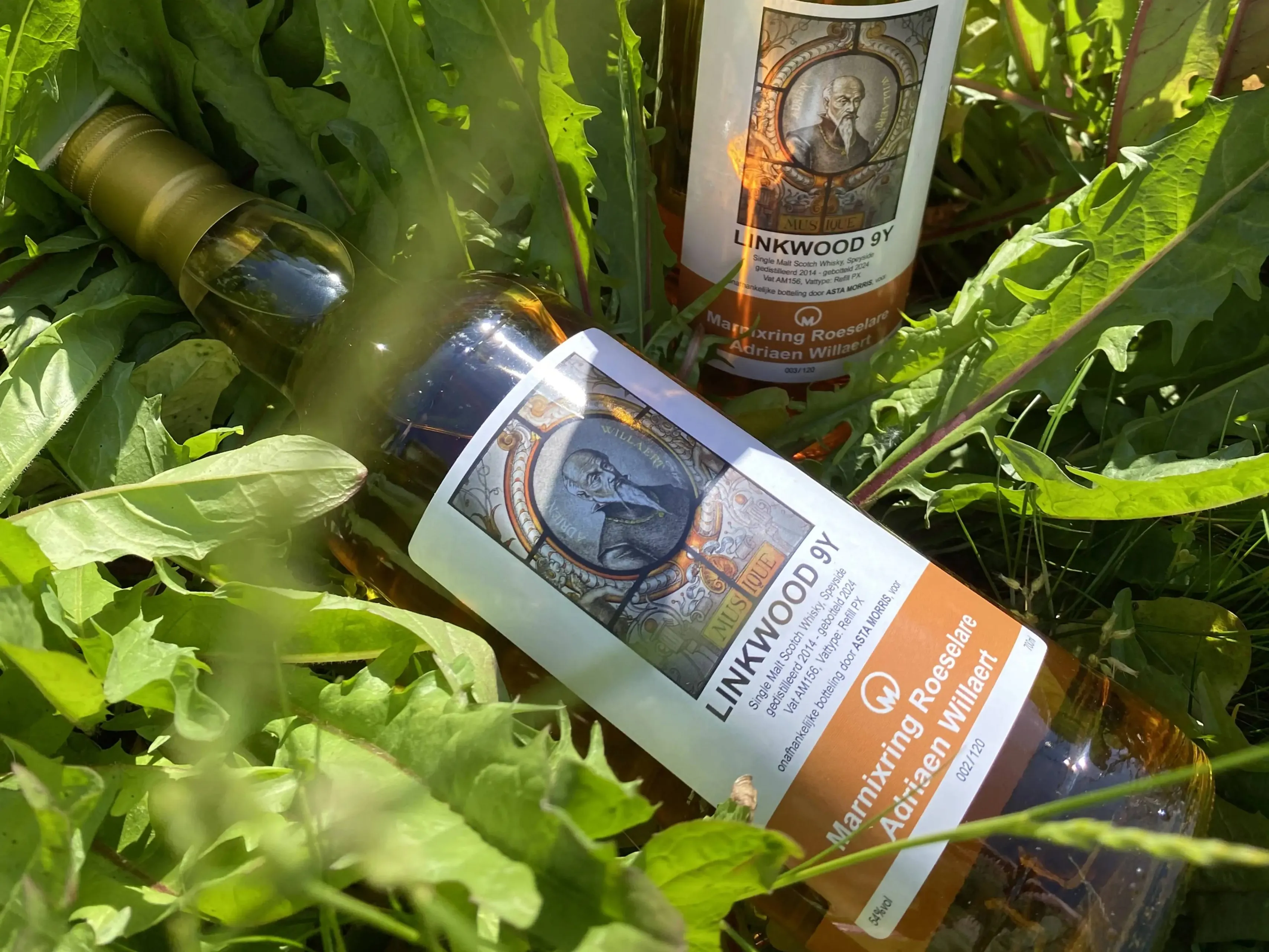 marnixring linkwood whiskyjpg