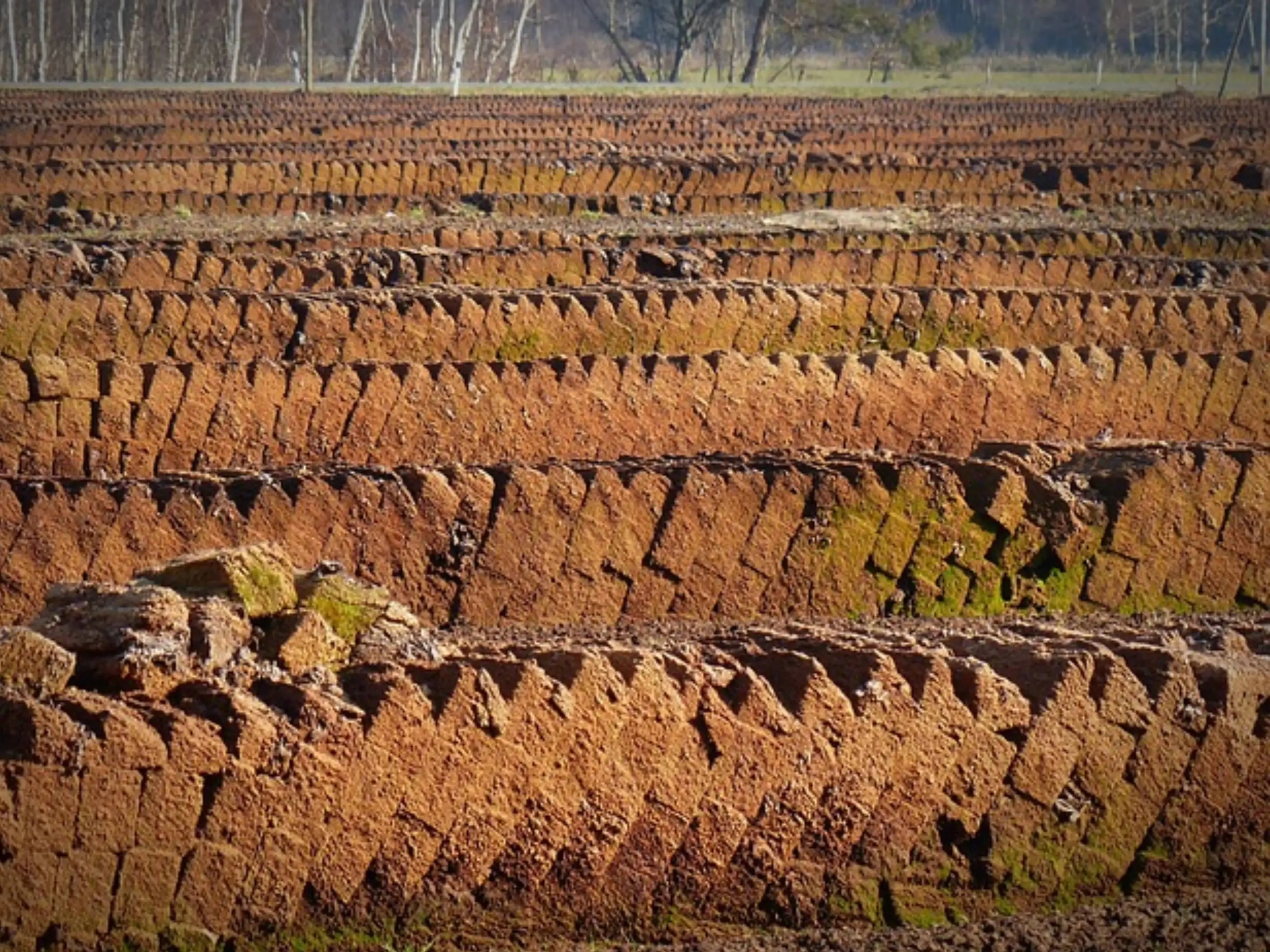 peat stacksjpg