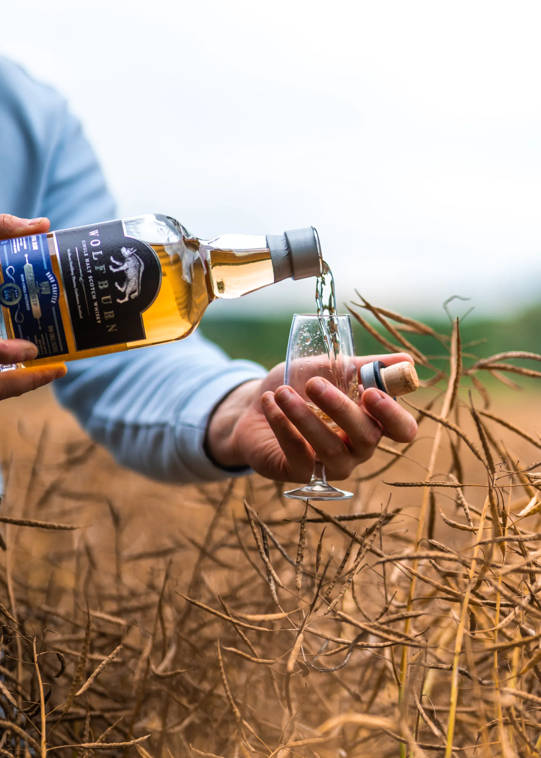 wolfburn langskip scotch single malt whisky with a tulip glass