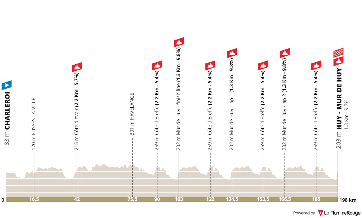 profile flechewallone2024