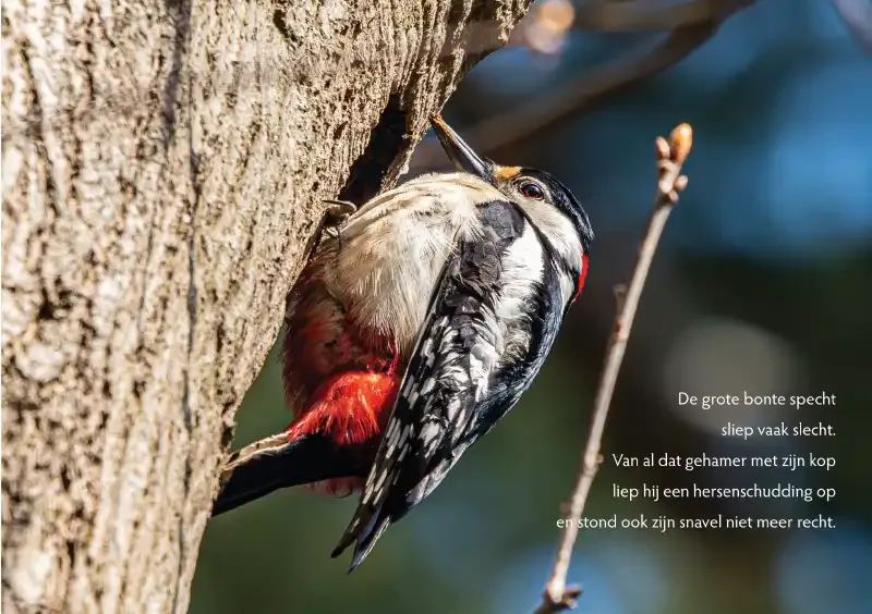 1ee928a8 6445 68f2 8e51 4d28aa6fcdf7