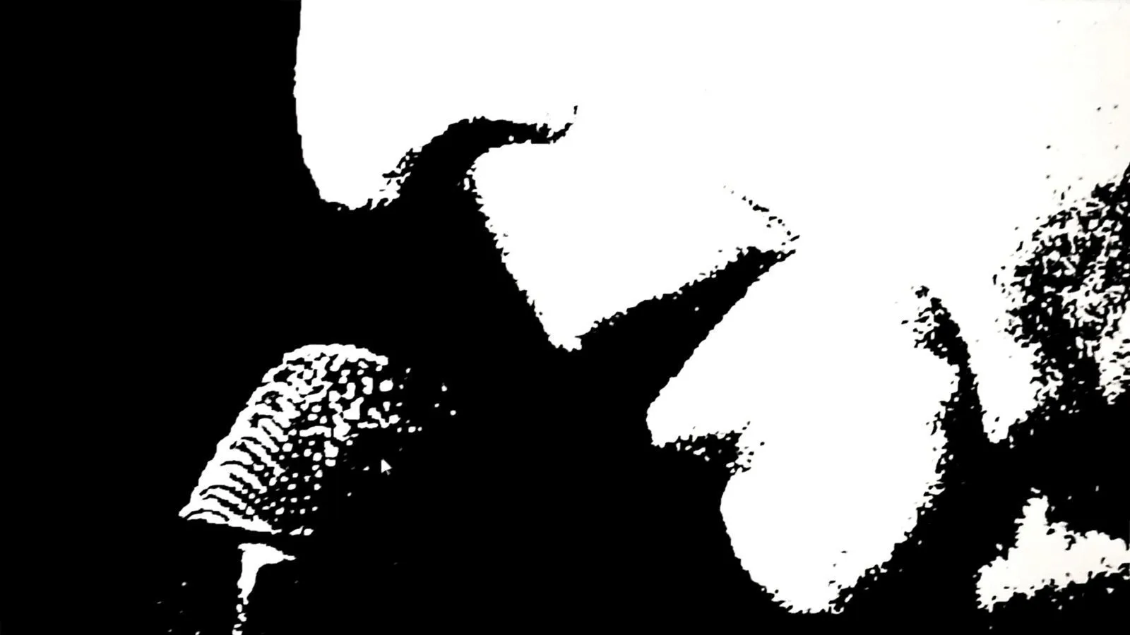 2019 1 18 foto so long cohen corr e1546771697154