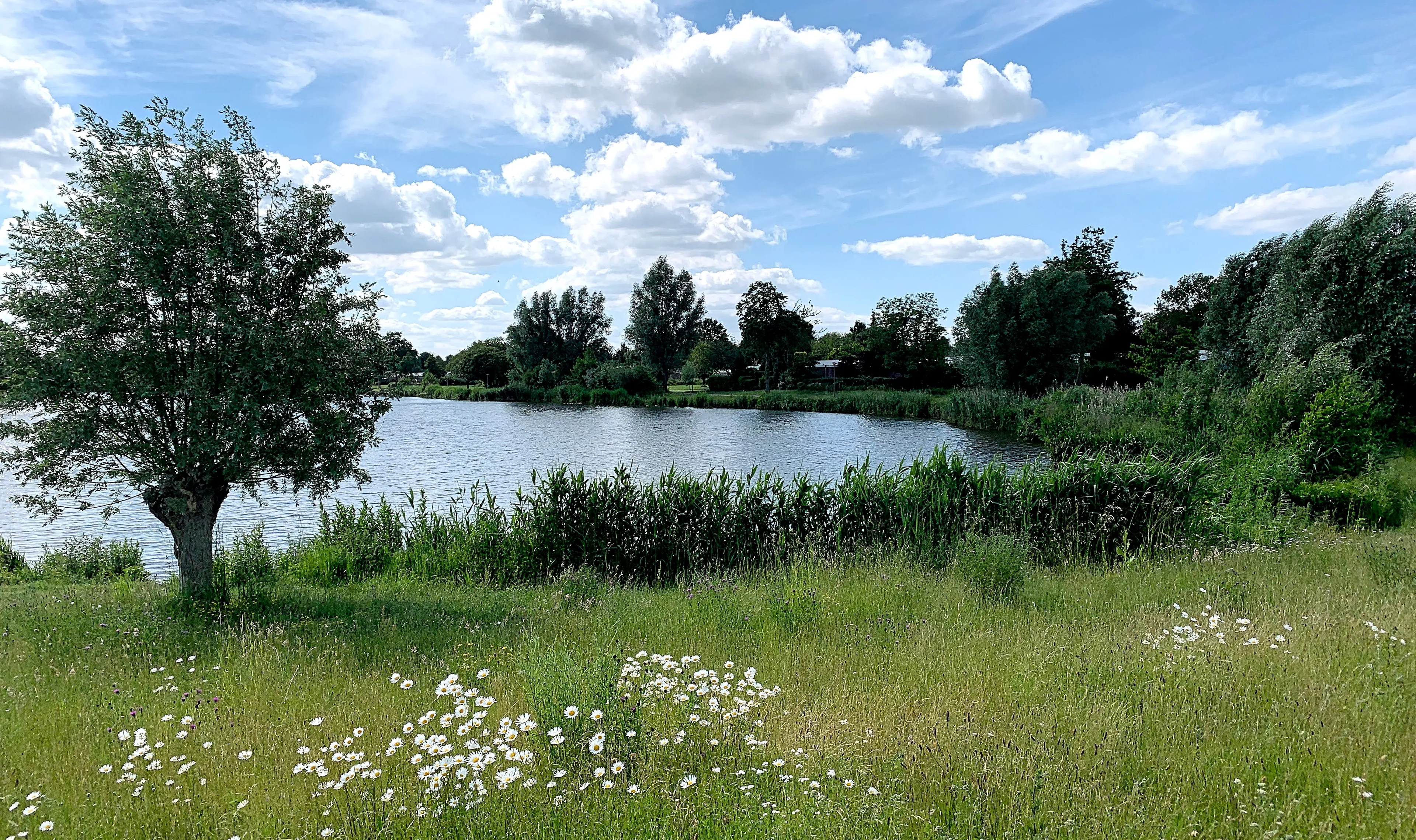 2021 wijchens meer cizo