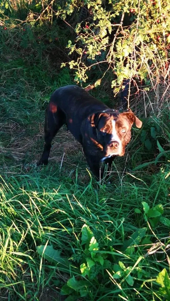 42531624 989802207874594 3570293188021190656 n