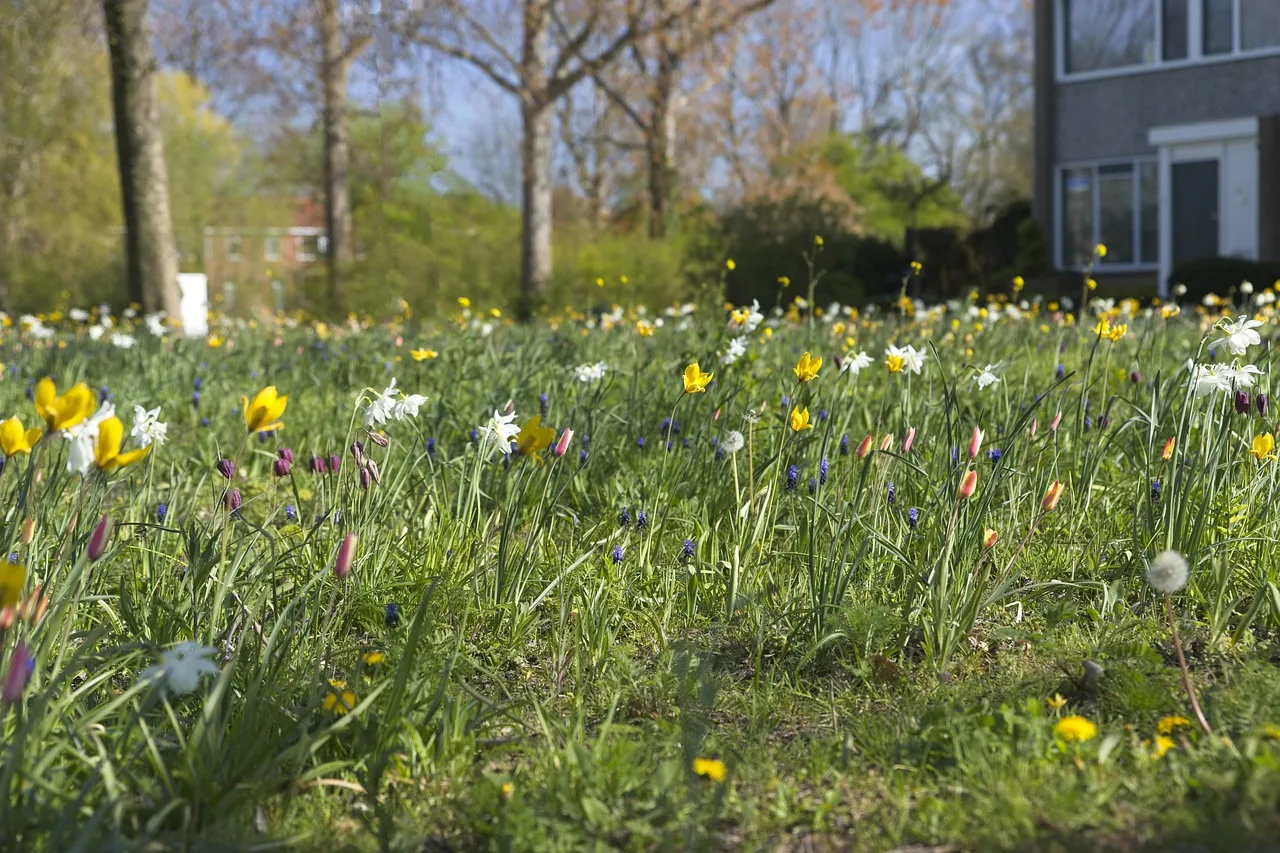 alkemade pixabay spring 5051915 1280
