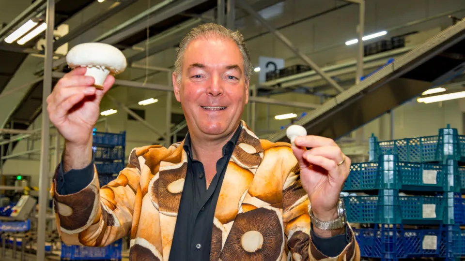 banken dick vogelzang