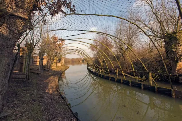 batenburg eendenkooi fotograaf onbekend 2