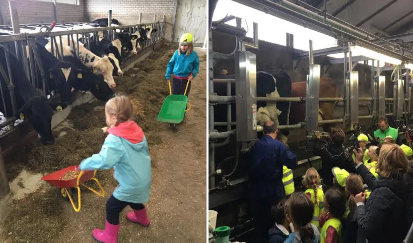 beestenbenders 041017 01