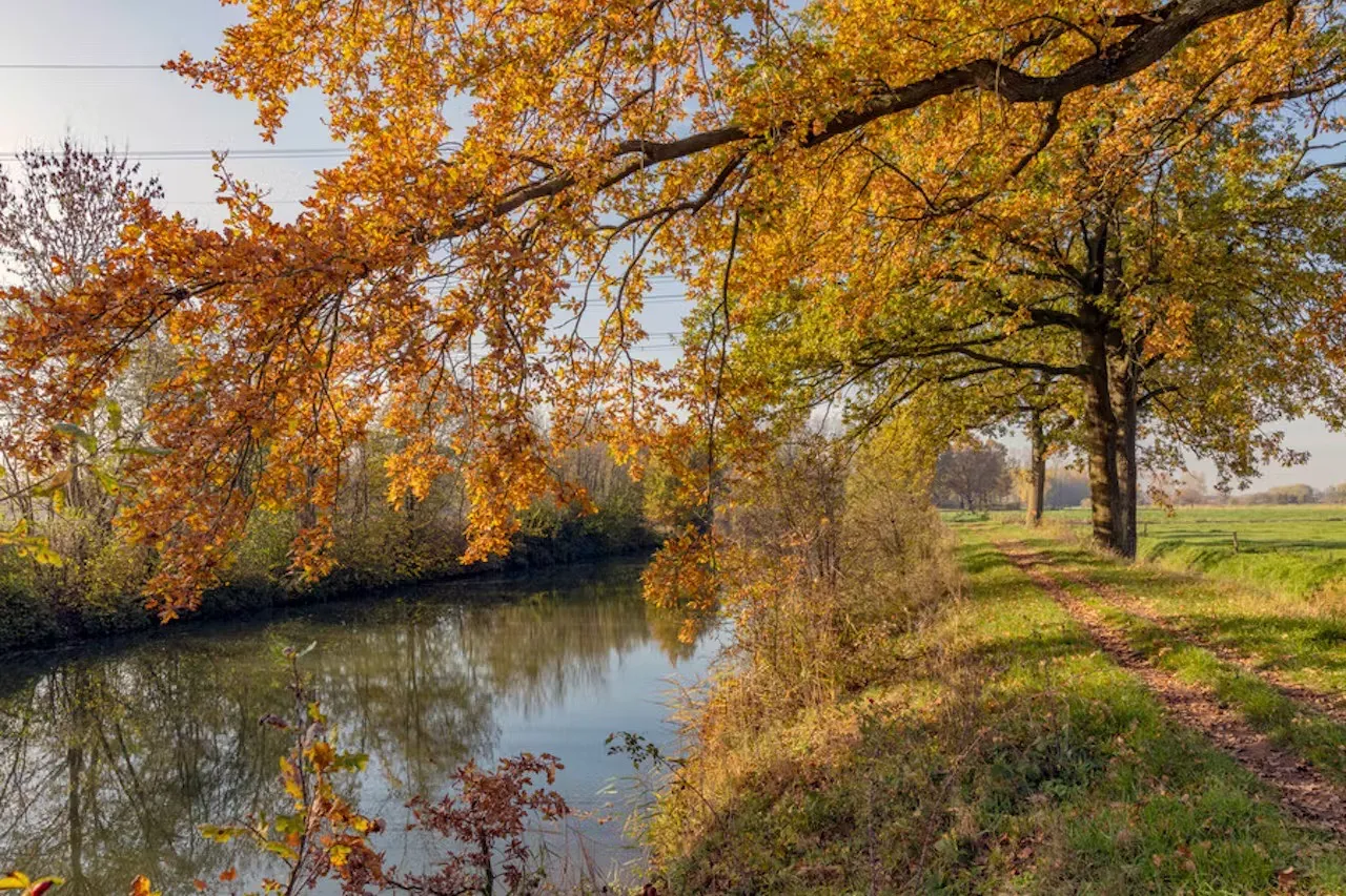 bergharen fotograaf ton gothengatter groot
