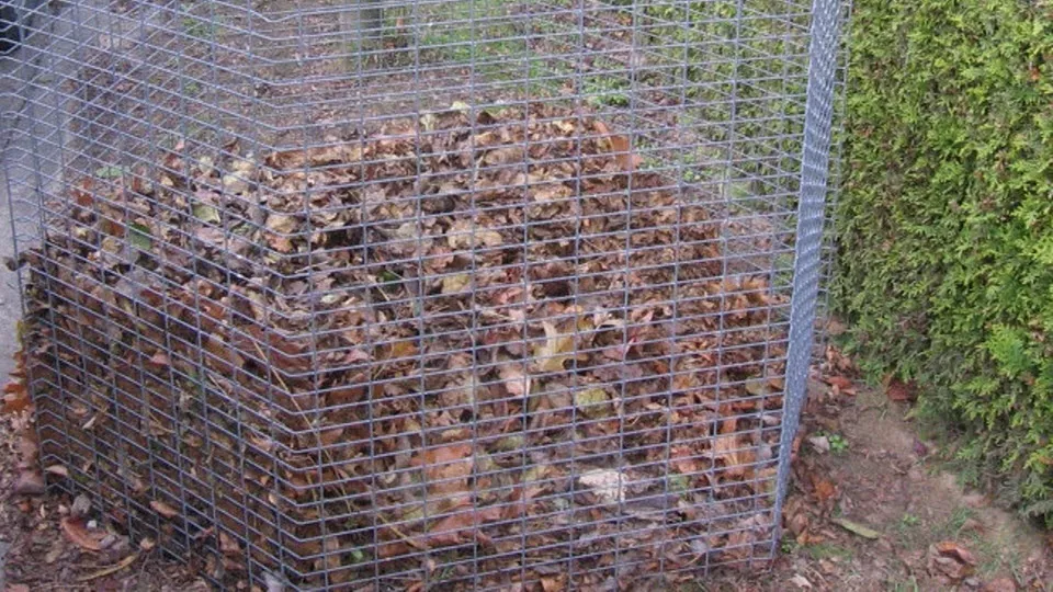 bladkorven wijchen 151018