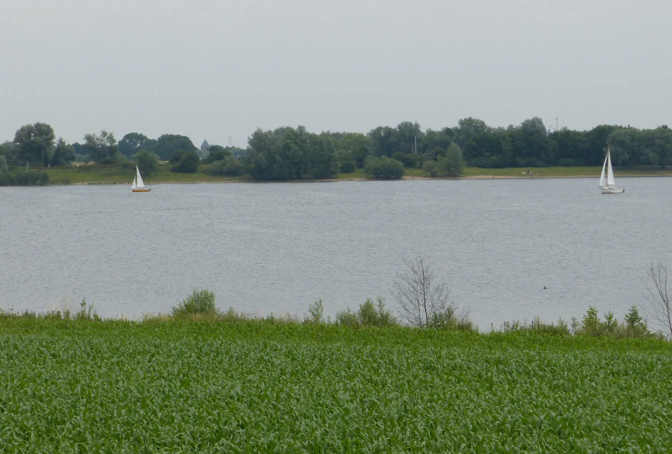 boten hoogeerd niftrik