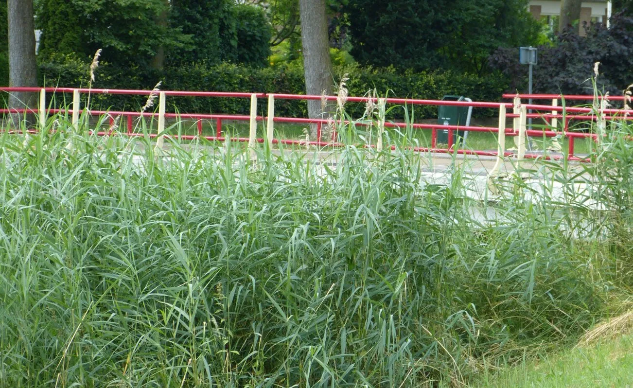 brug mr van coothlaan