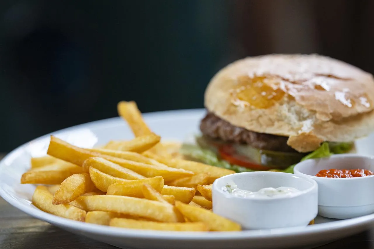 burger 4683373 1280