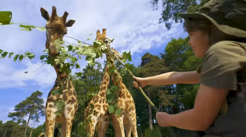 campagne groot gelders avontuur