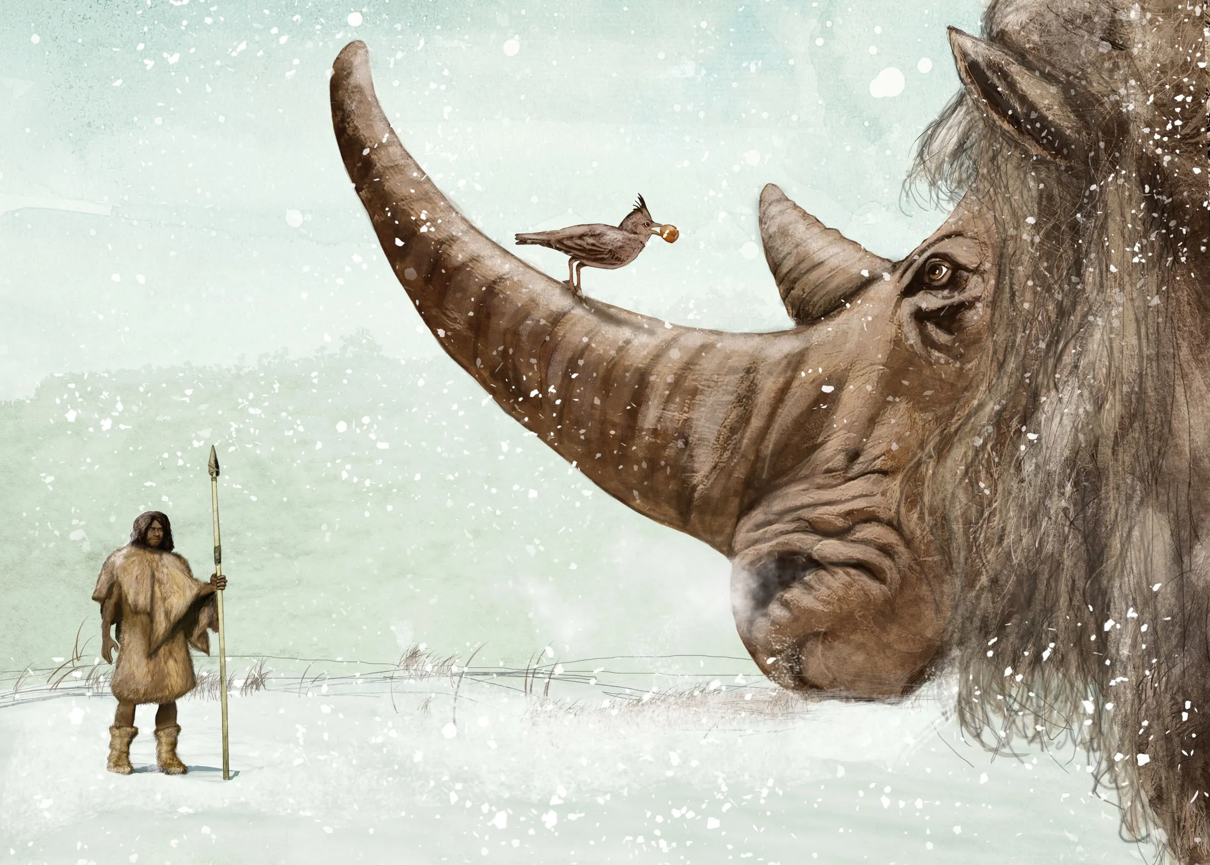 campagnebeel koud zonder typografie