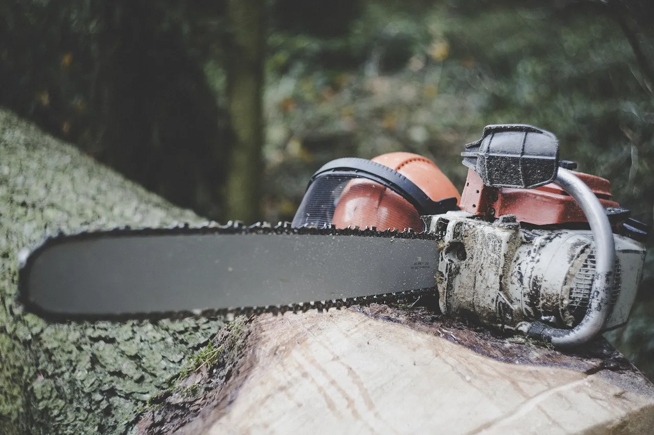 chainsaw 3655667 1280