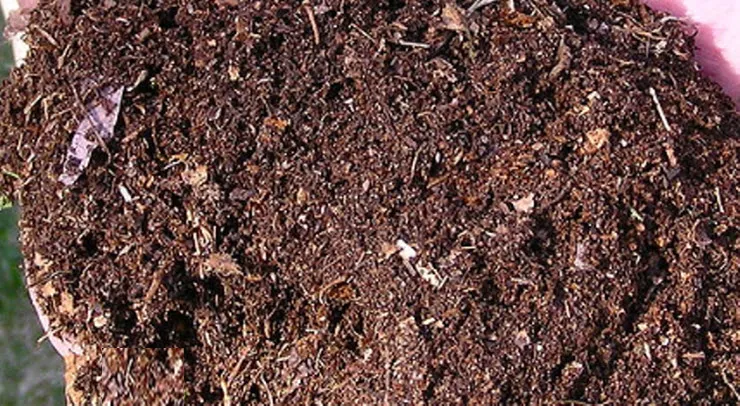 compost