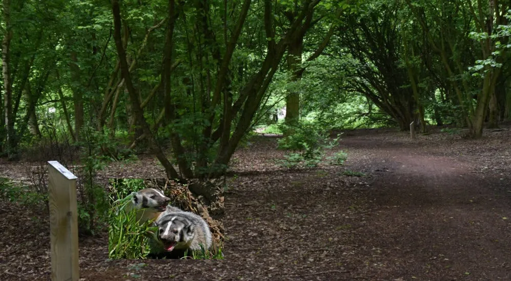 dassen oosterpark 02