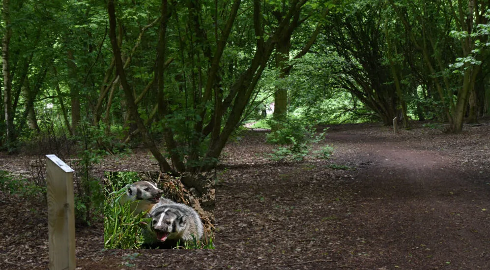 dassen oosterpark 02