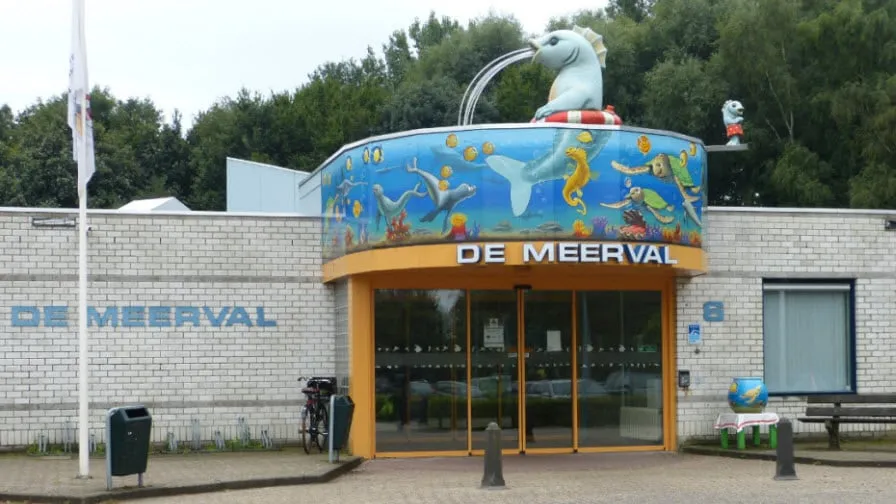 de meerval 131018