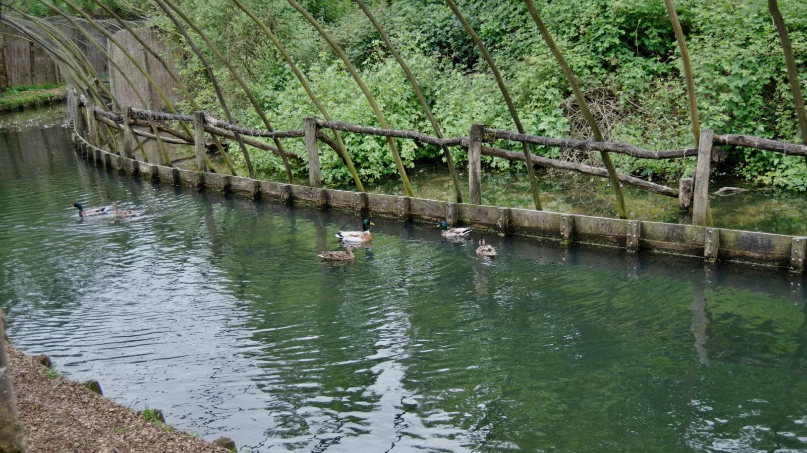 dsc 5626 2 e1549352143902