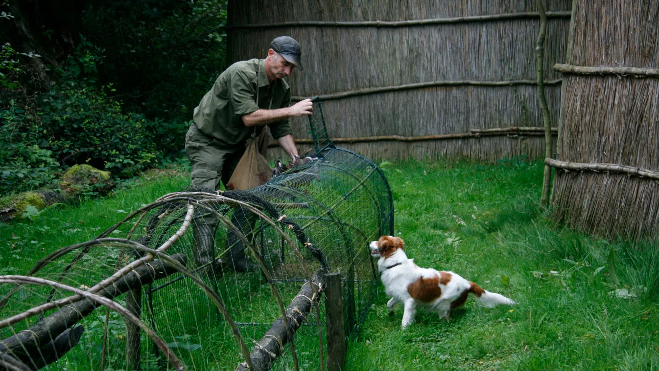 eendenkooi batenburg