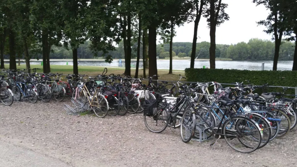 fietsen berendonck 01