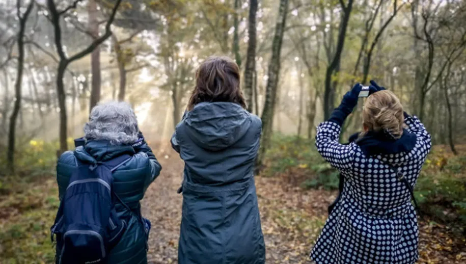 fotowandelclub wijchen 915x518 1