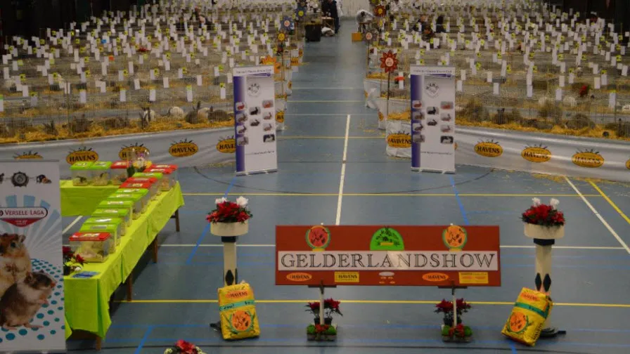 gelderlandshow