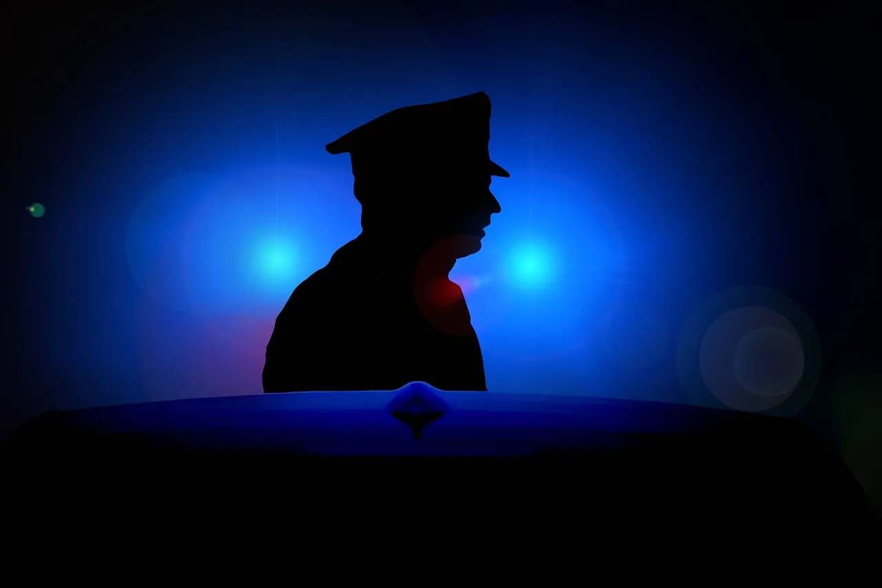 gerd altmann politie blue light 1675686 1280