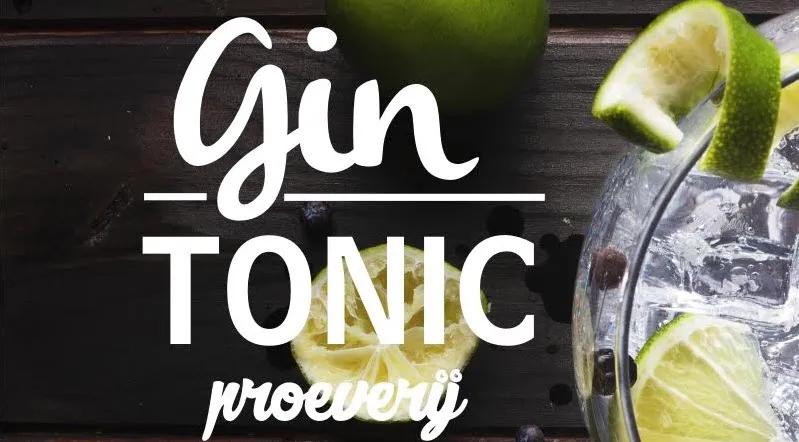 gin tonic proeverij