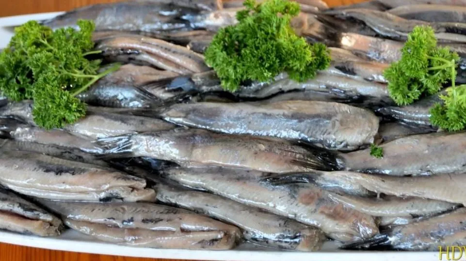 haring 02 e1555484563205