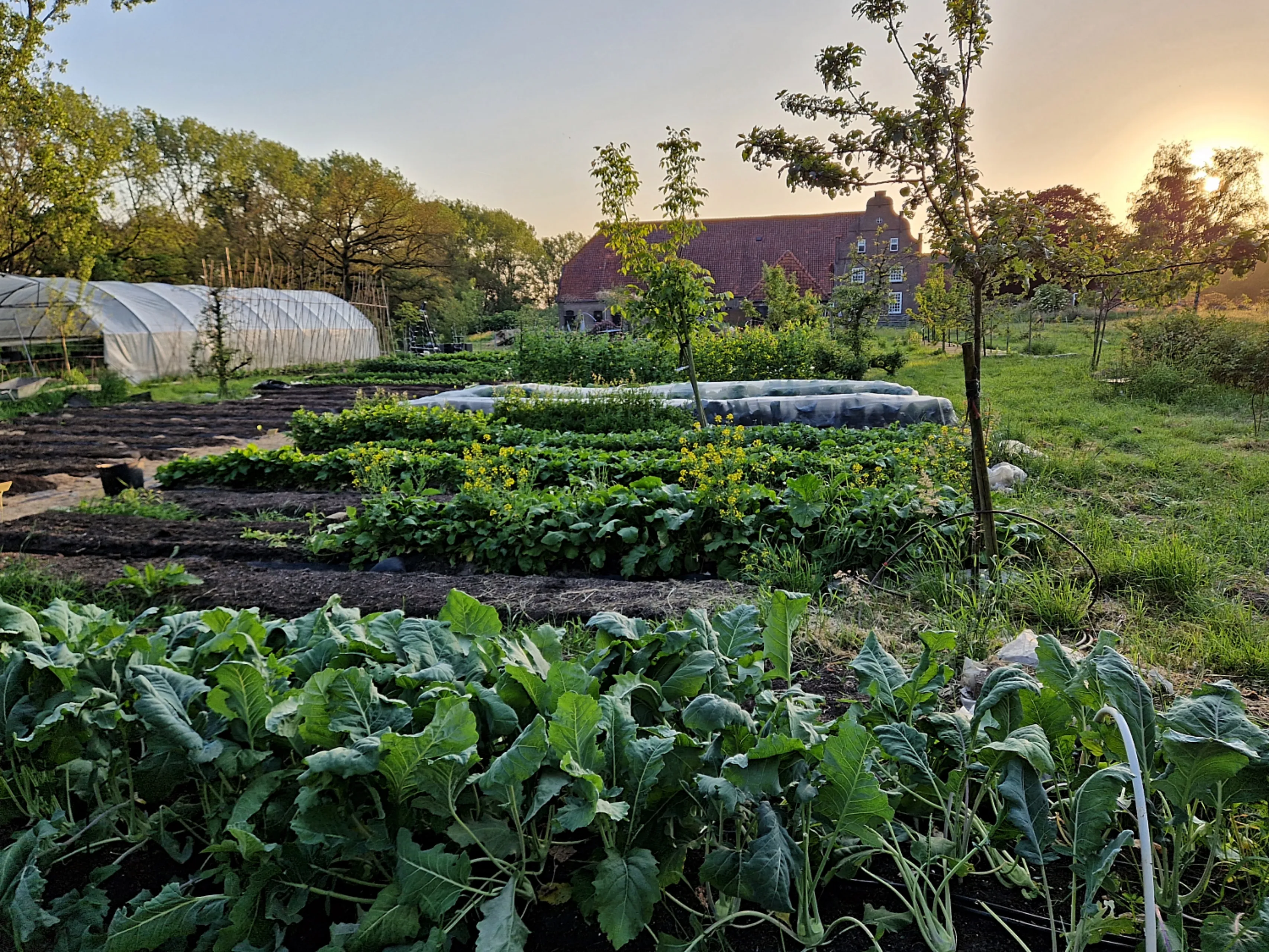 heerlijckheid het vormer