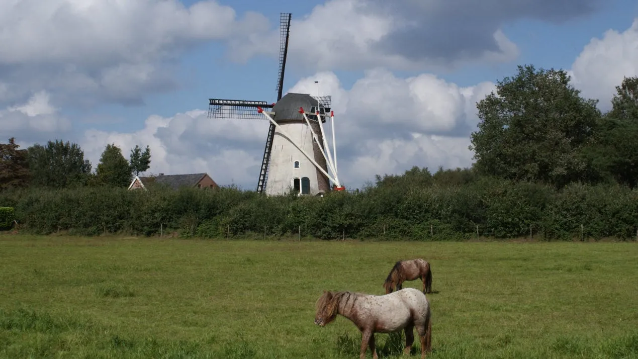 hernense molen e1553178227106