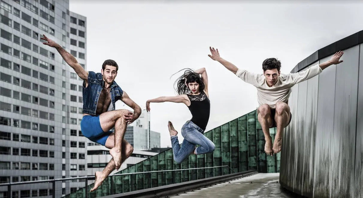 holland dance arrash nikkhah