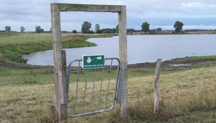 honden aan de lijn e1554620973867