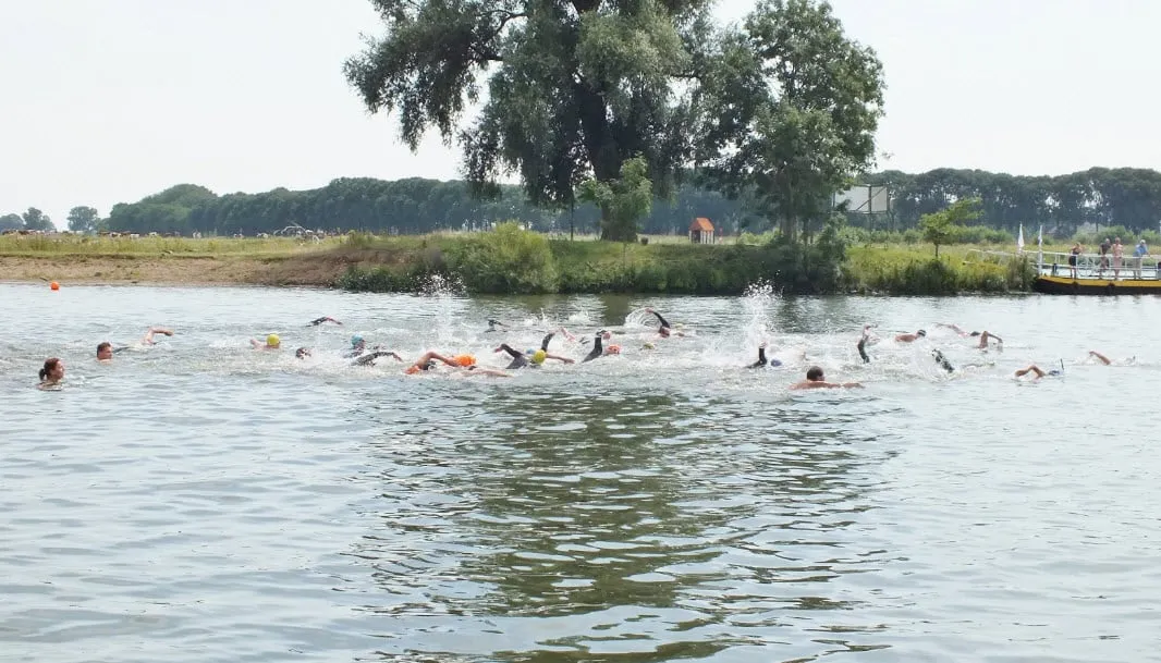 jan de koele 2015 01