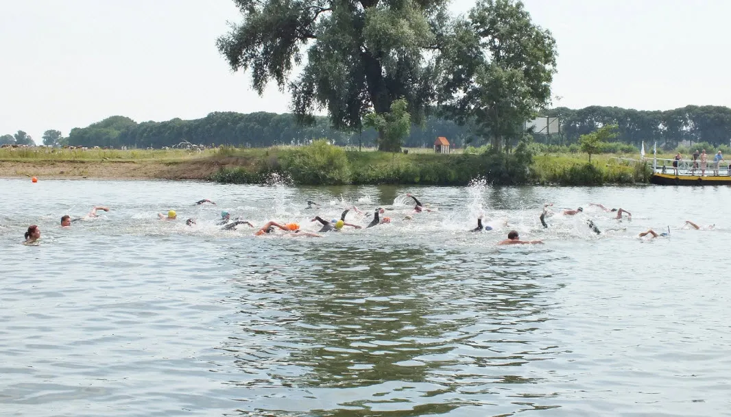 jan de koele 2015 01