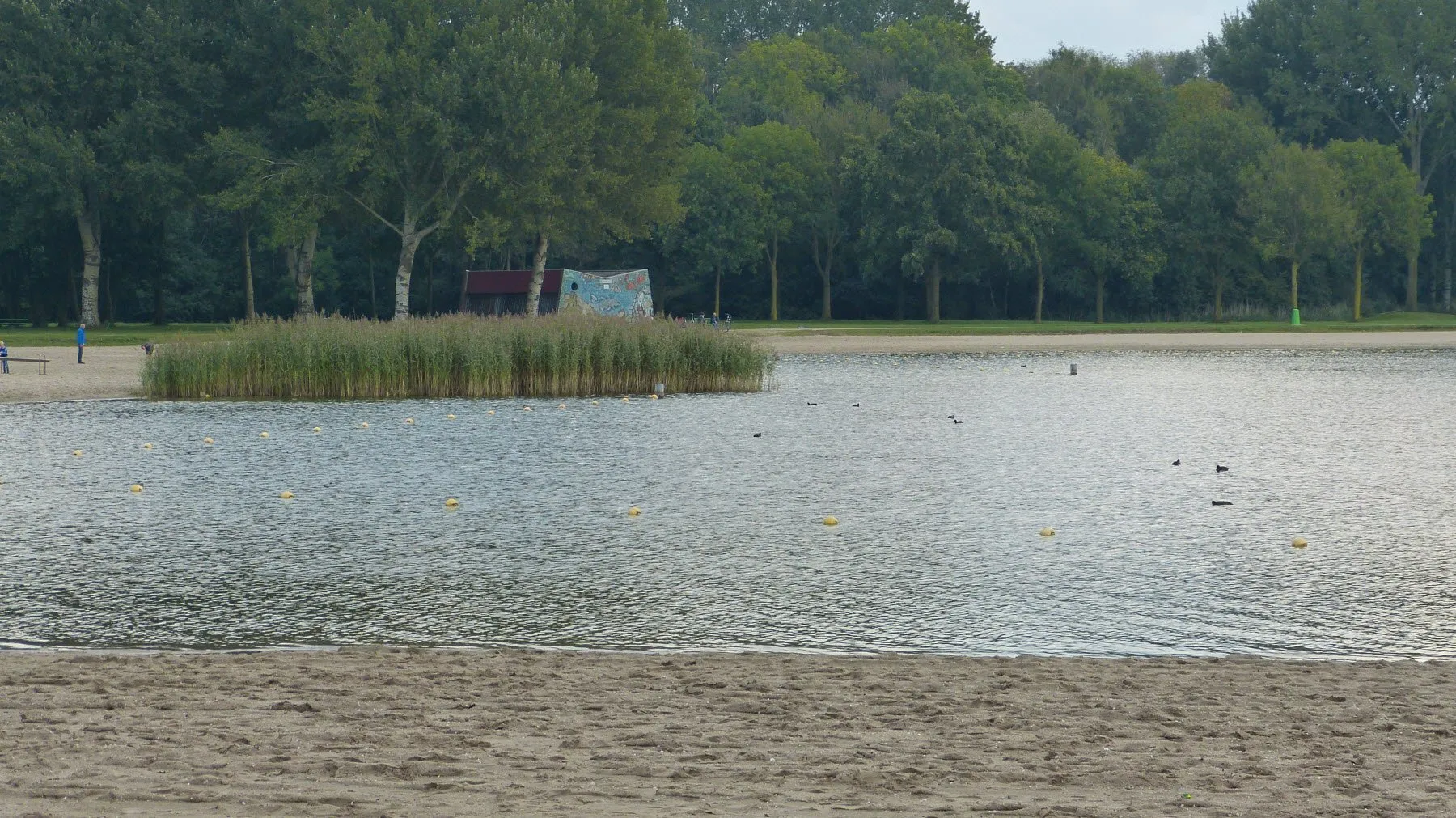 kika berendonck 2017 0012