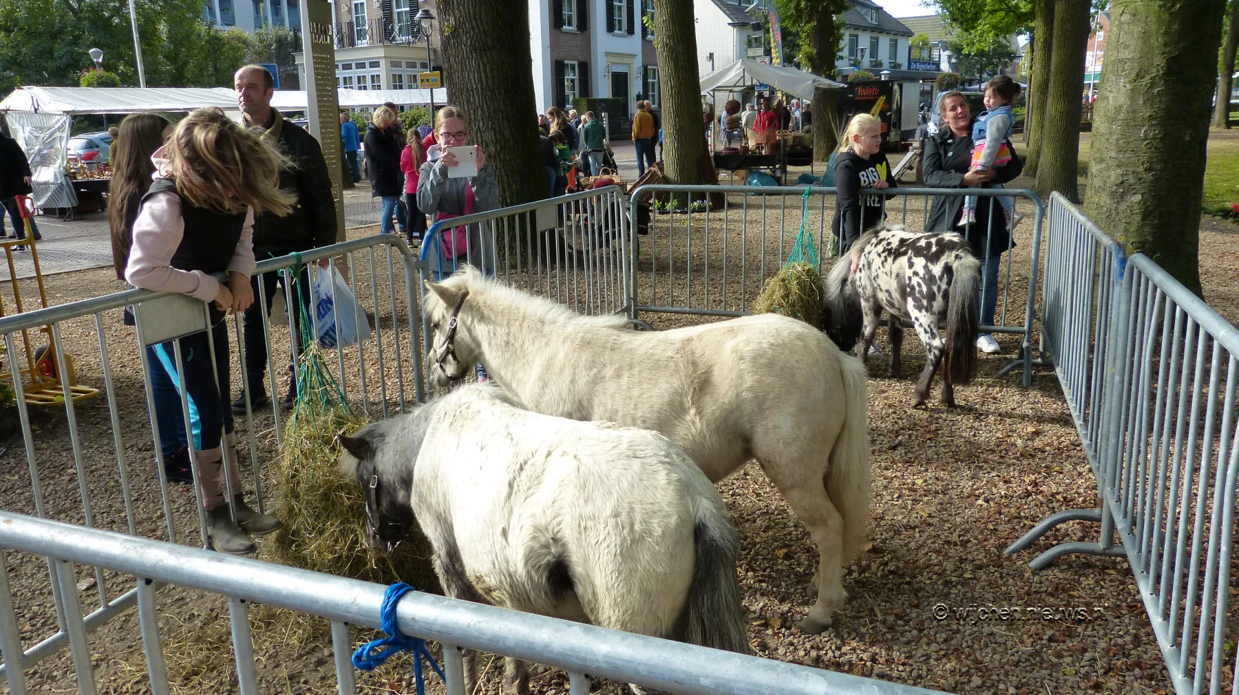 oaardenmarkt wijchen 2016 38