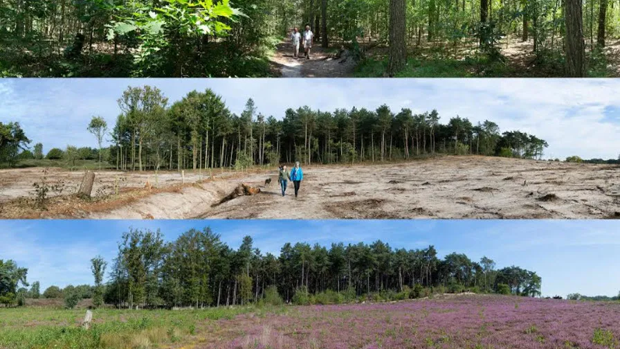 overasseltse en hatertse vennen 00