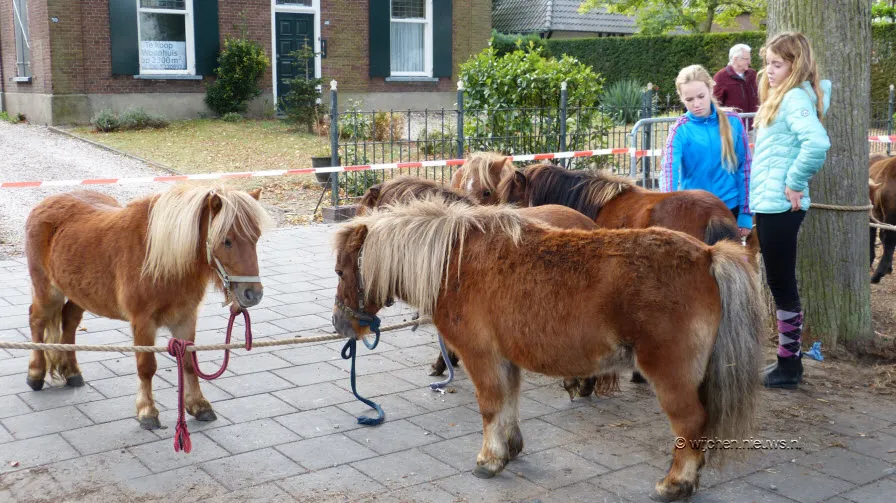 paardenmarkt wijchen 041018