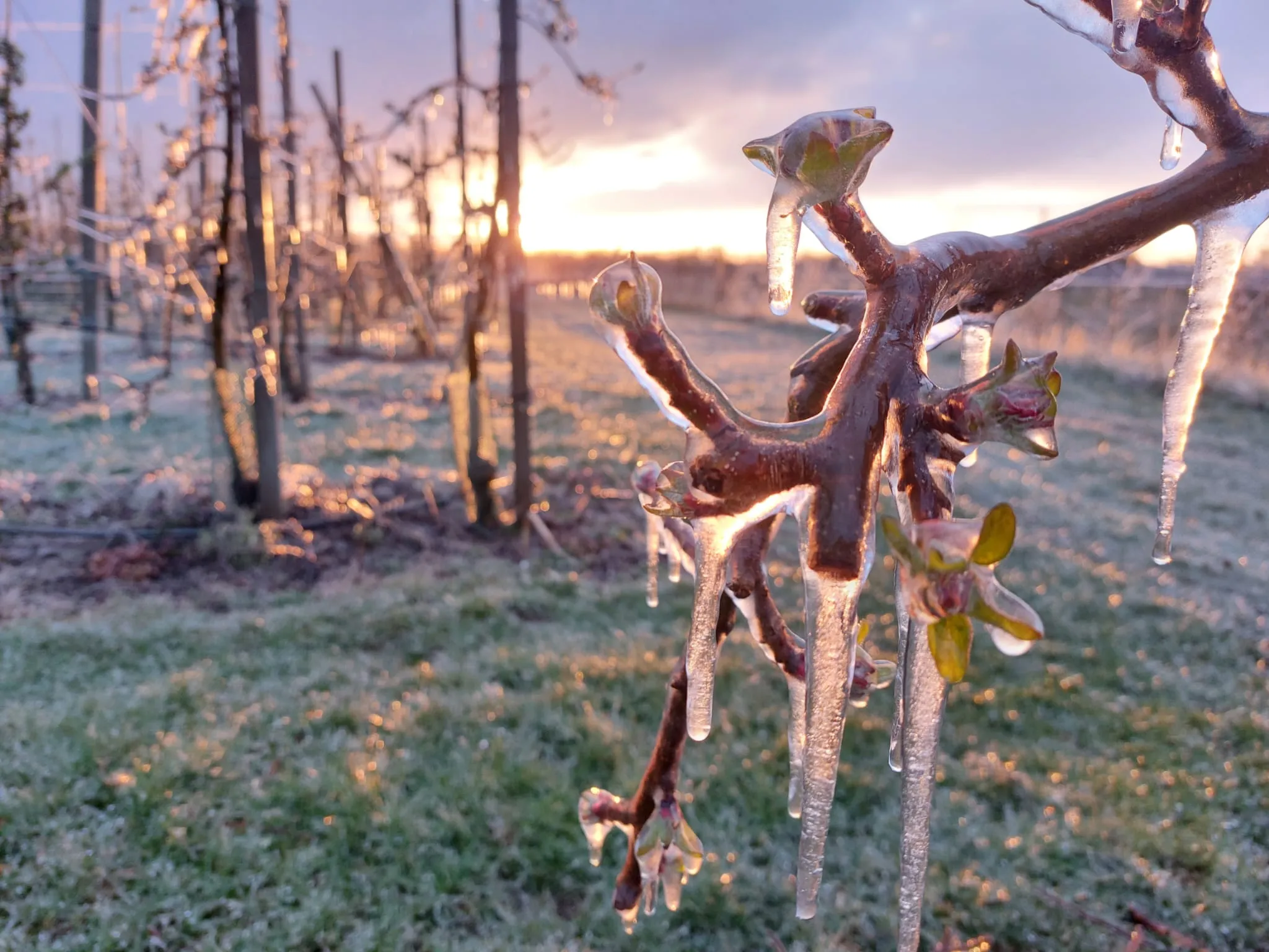 photo 2023 01 17 09 57 06