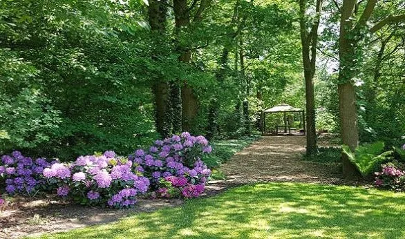 phpthumb cache buitenoverleg fotor