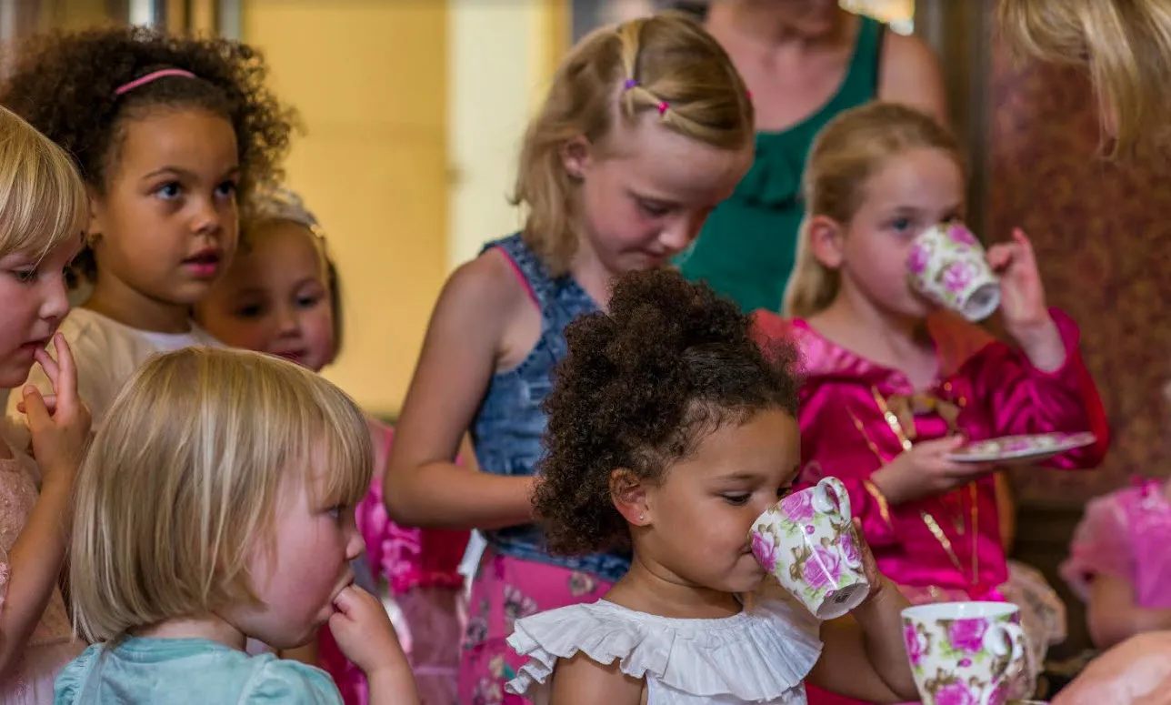 prinsessen kasteel hernen